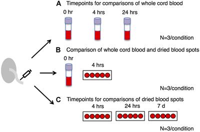 Impact of ex vivo Sample Handling on DNA Methylation Profiles in Human Cord Blood and Neonatal Dried Blood Spots